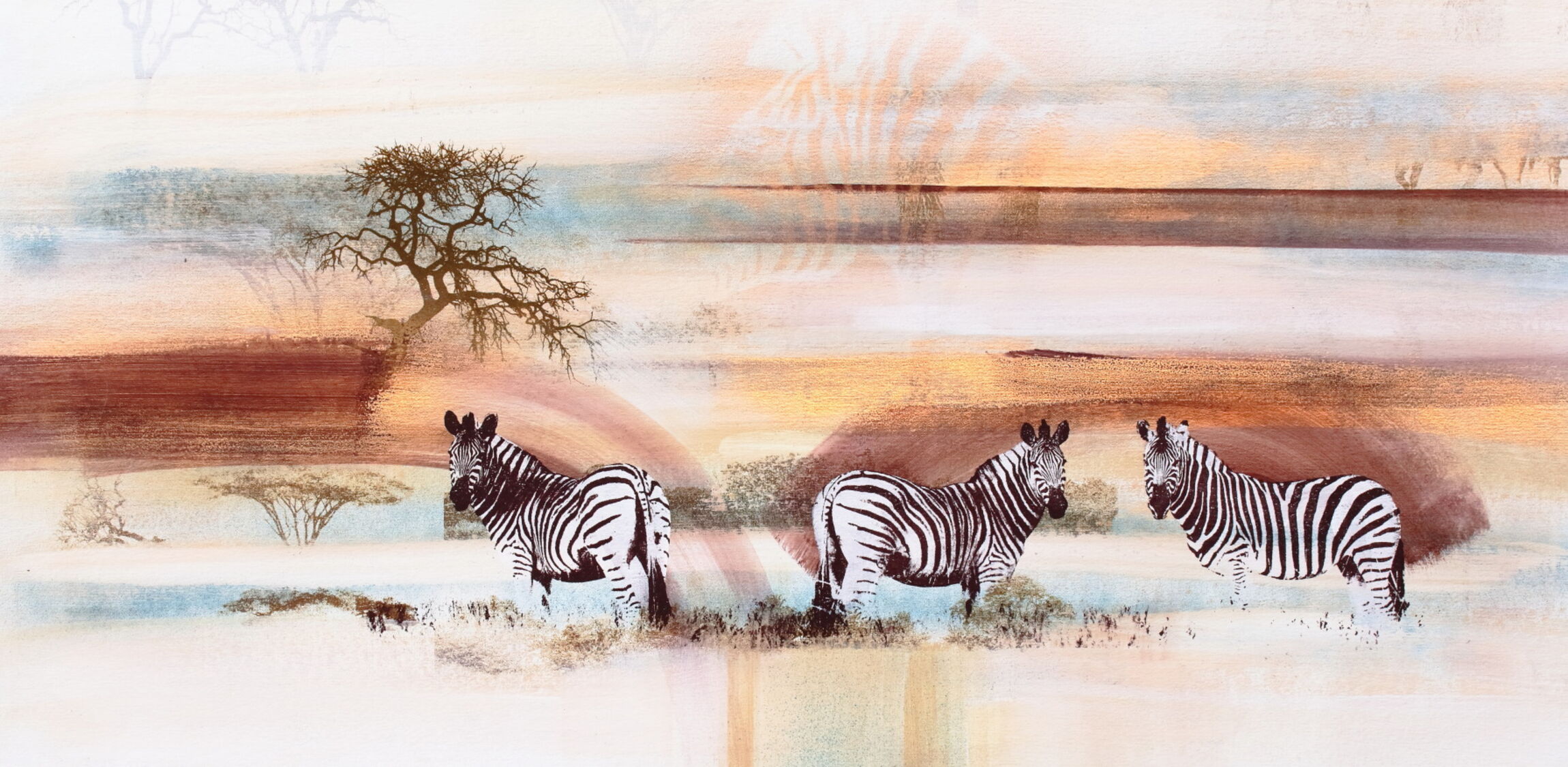 Desert Zebras